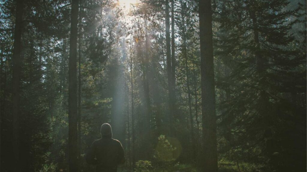 Servicegebühren bei Maut- und Vignettenportalen: Wofür Sie wirklich zahlen – und wie Sie Abzocke erkennen